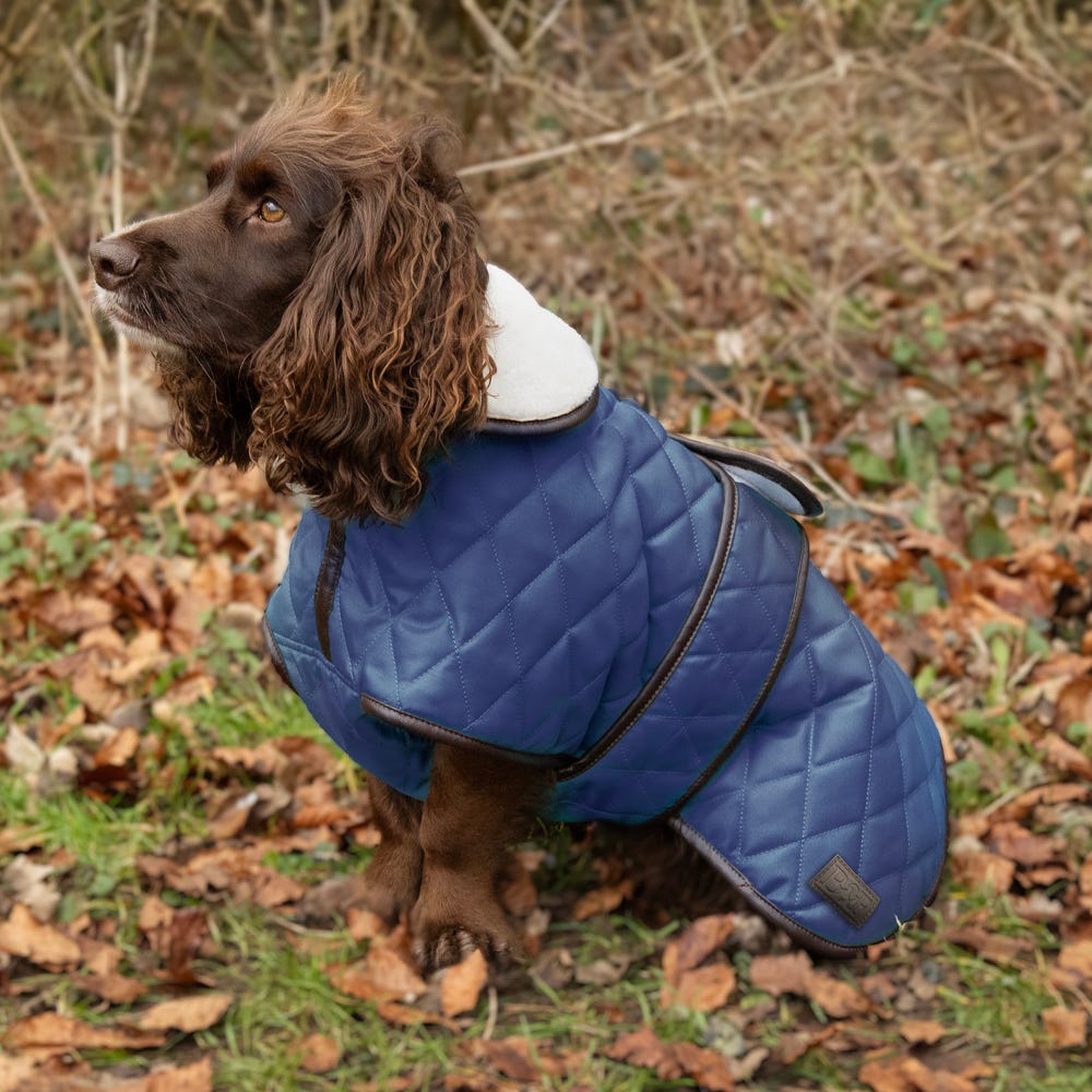 Benji &amp; Flo Luxury Fleece Quilted Dog Coat image 1